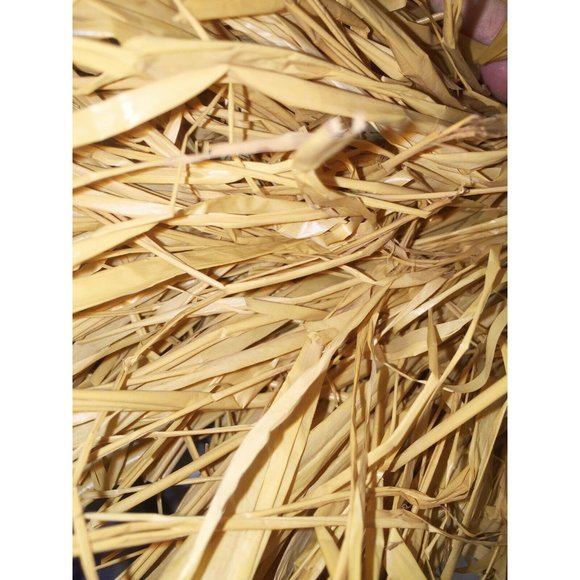 Vintage CHILD’S 3 PC HULA Outfit Hawaii Blue Yellow Lei Size S-M - Picture 8 of 8